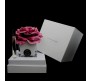 Ароматический диффузор Роза фуксия в белом кубе из стекла Herve Gambs + духи Bois de cashmere 10мл