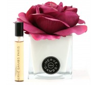 Ароматичний дифузор Троянда фуксія в білому кубі зі скла Herve Gambs + парфуми Bois de cashmere 10мл