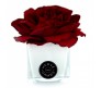 Ароматический диффузор красная роза в белом кубе из стекла Herve Gambs + духи Bois de cashmere 10мл