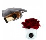 Ароматический диффузор красная роза в белом кубе из стекла Herve Gambs + духи Bois de cashmere 10мл