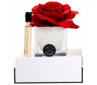 Ароматичний дифузор червона троянда в білому кубі зі скла Herve Gambs + парфуми Bois de cashmere 10мл