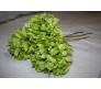 Искусственные цветы пион зелёный Herve Gambs (Франция) 46см