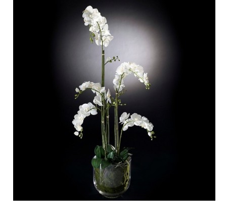 Композиция из искусственных цветов орхидеи в стеклянной вазе VGnewtrend (Италия)